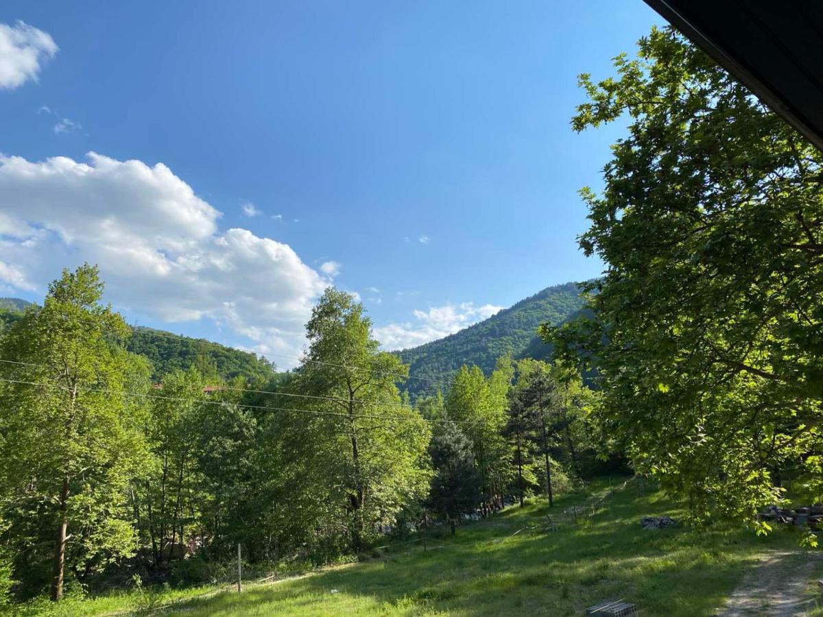 Hotel Complex Magic Of The Rhodopes Bachkovo Exterior foto